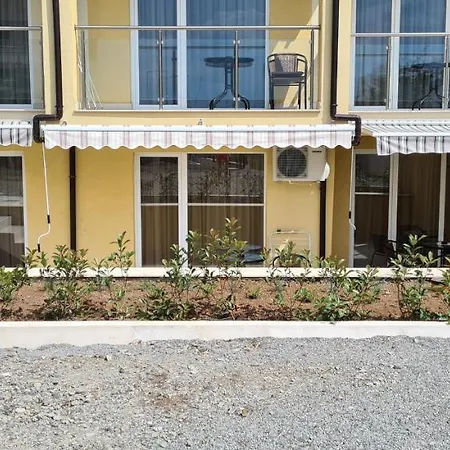 семеен сирена * 아크토폴